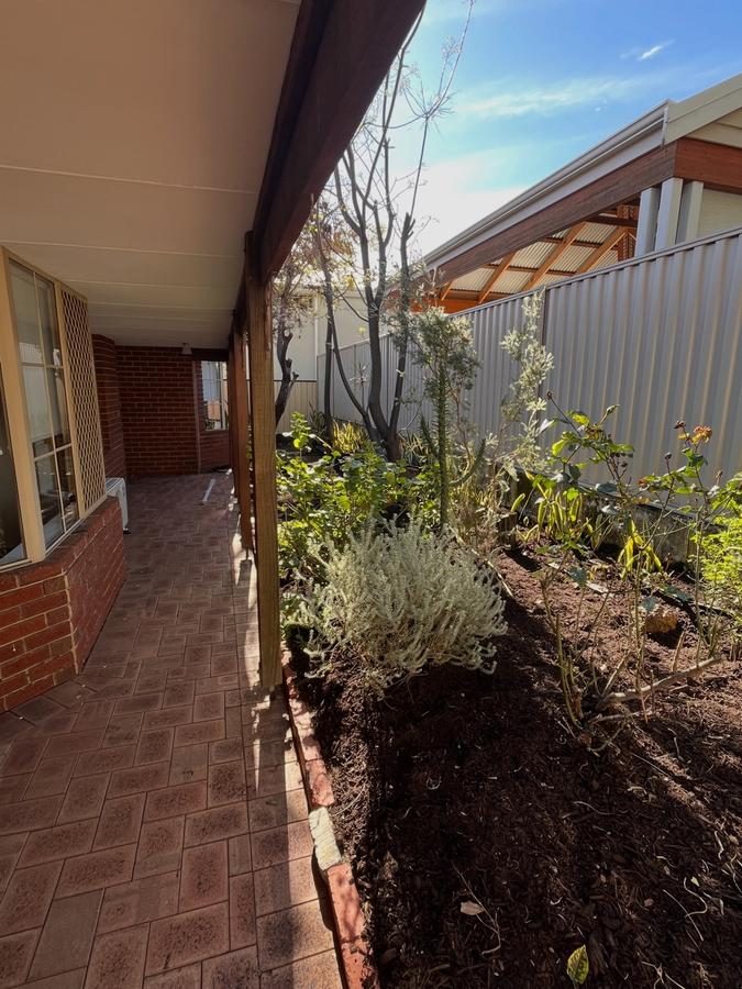 Garden bed weeded and tidied along a verandah