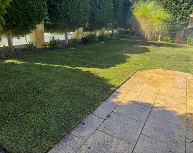 New lawn laid beside a paved path