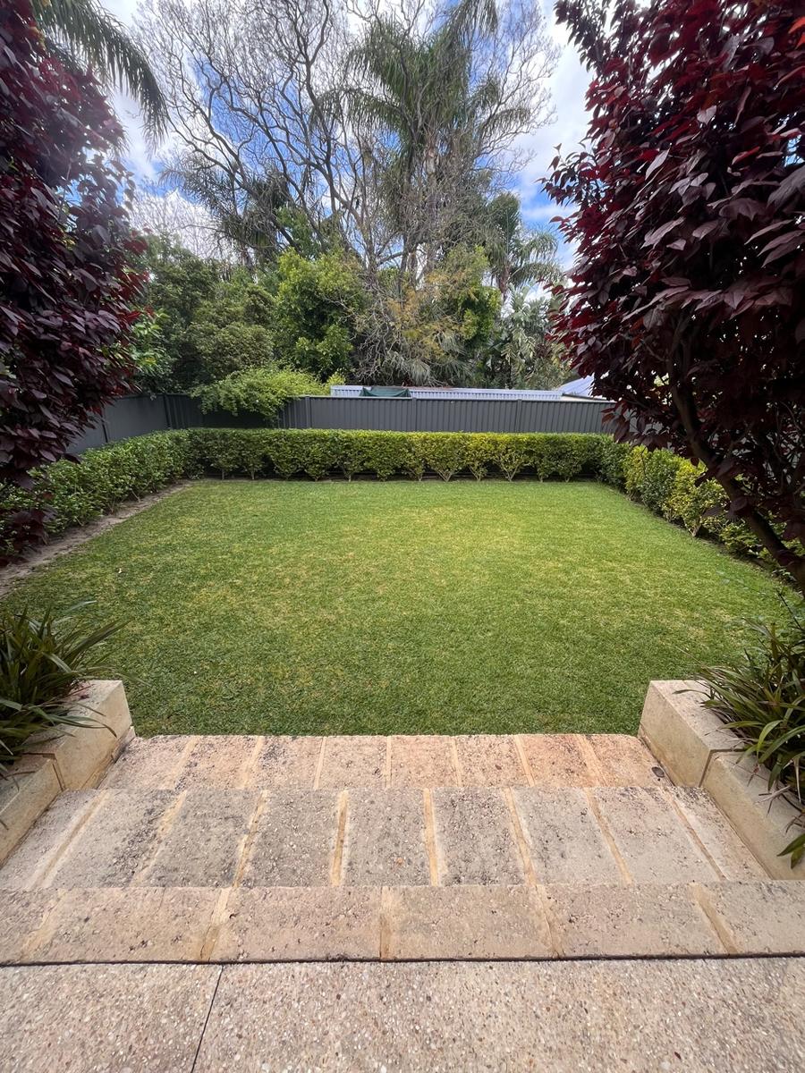 Neat lawn with trimmed hedges Perth